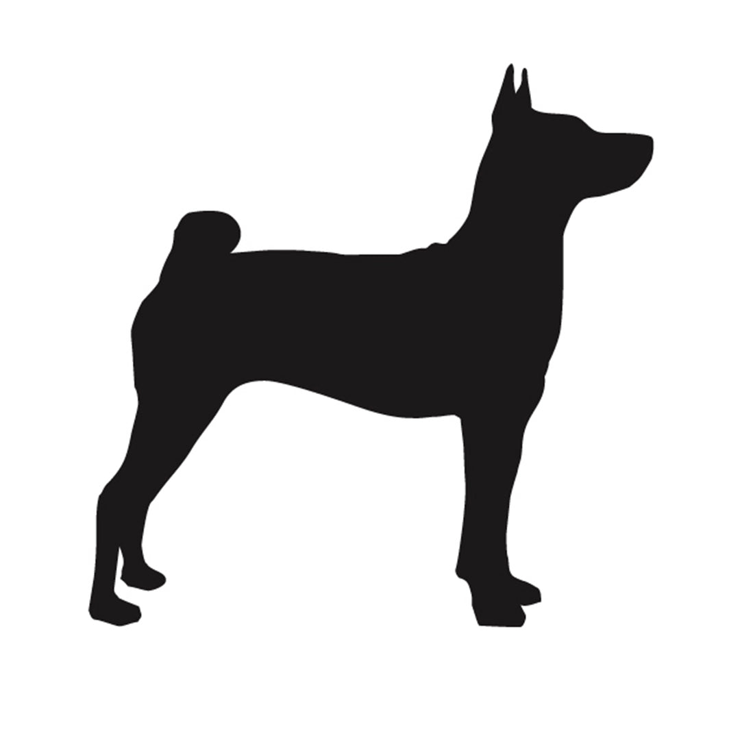 Basenji Silhouette