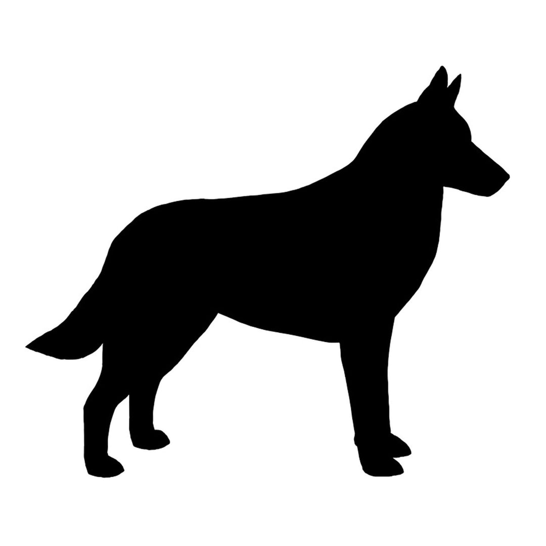 Belgian Malinois Silhouette