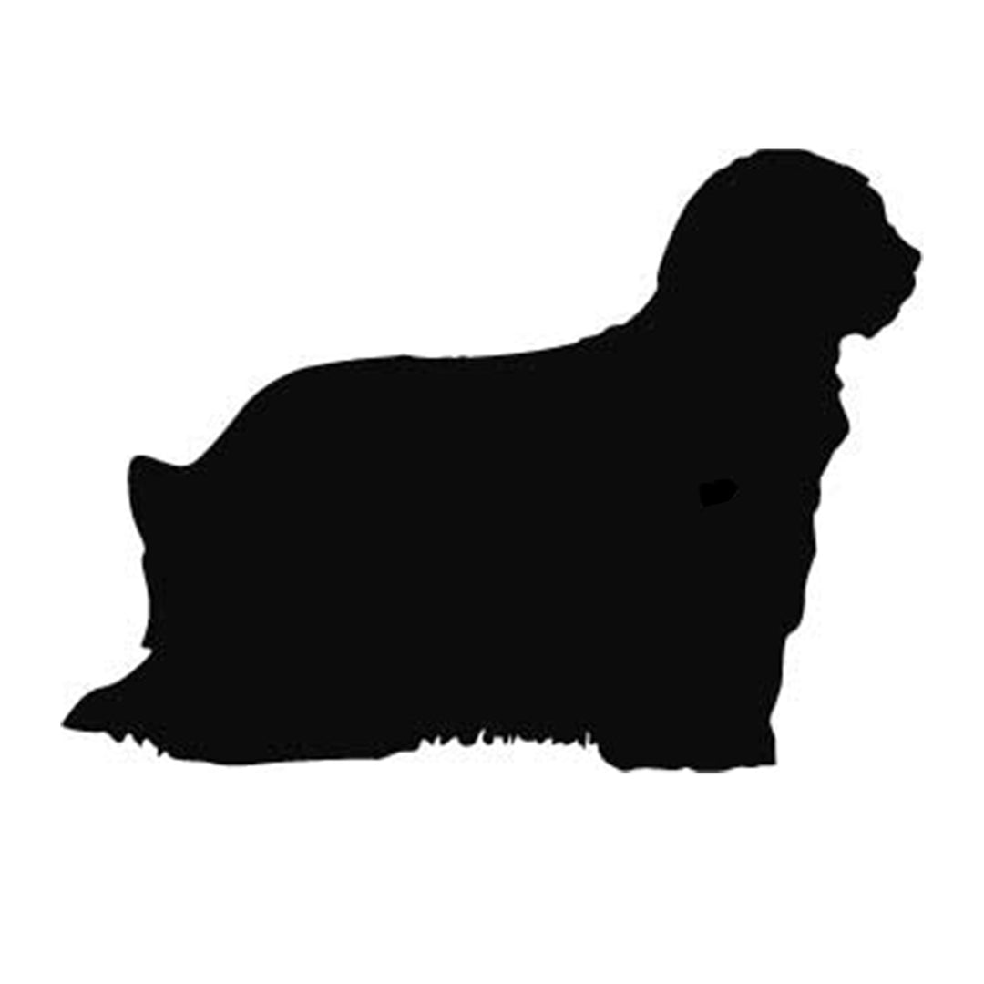 Bergamasco Silhouette