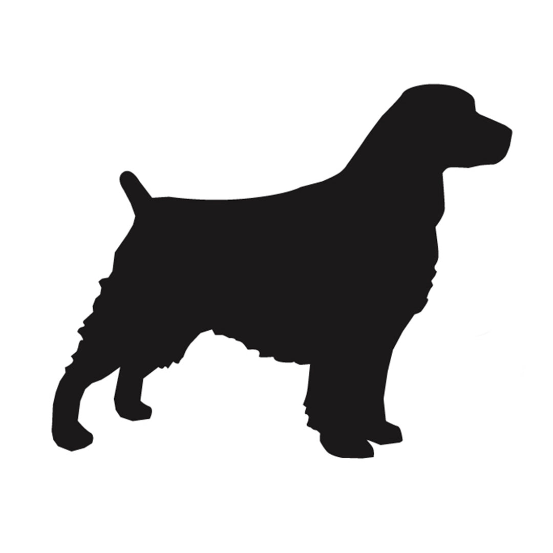 Boykin Spaniel Silhouette