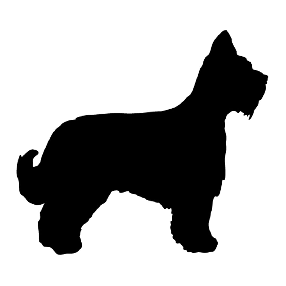 Briard Silhouette