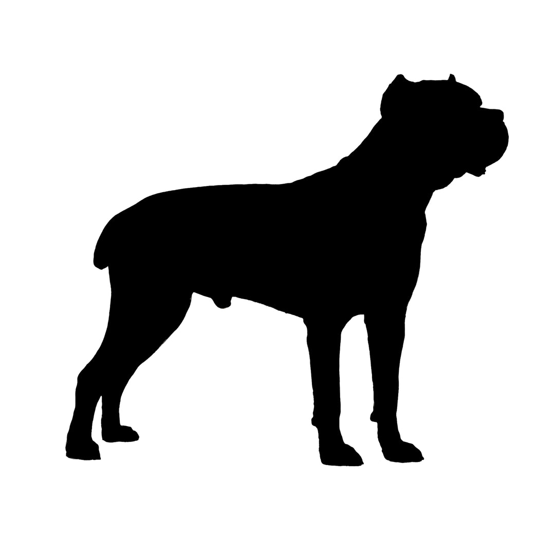 Cane Corso Silhouette