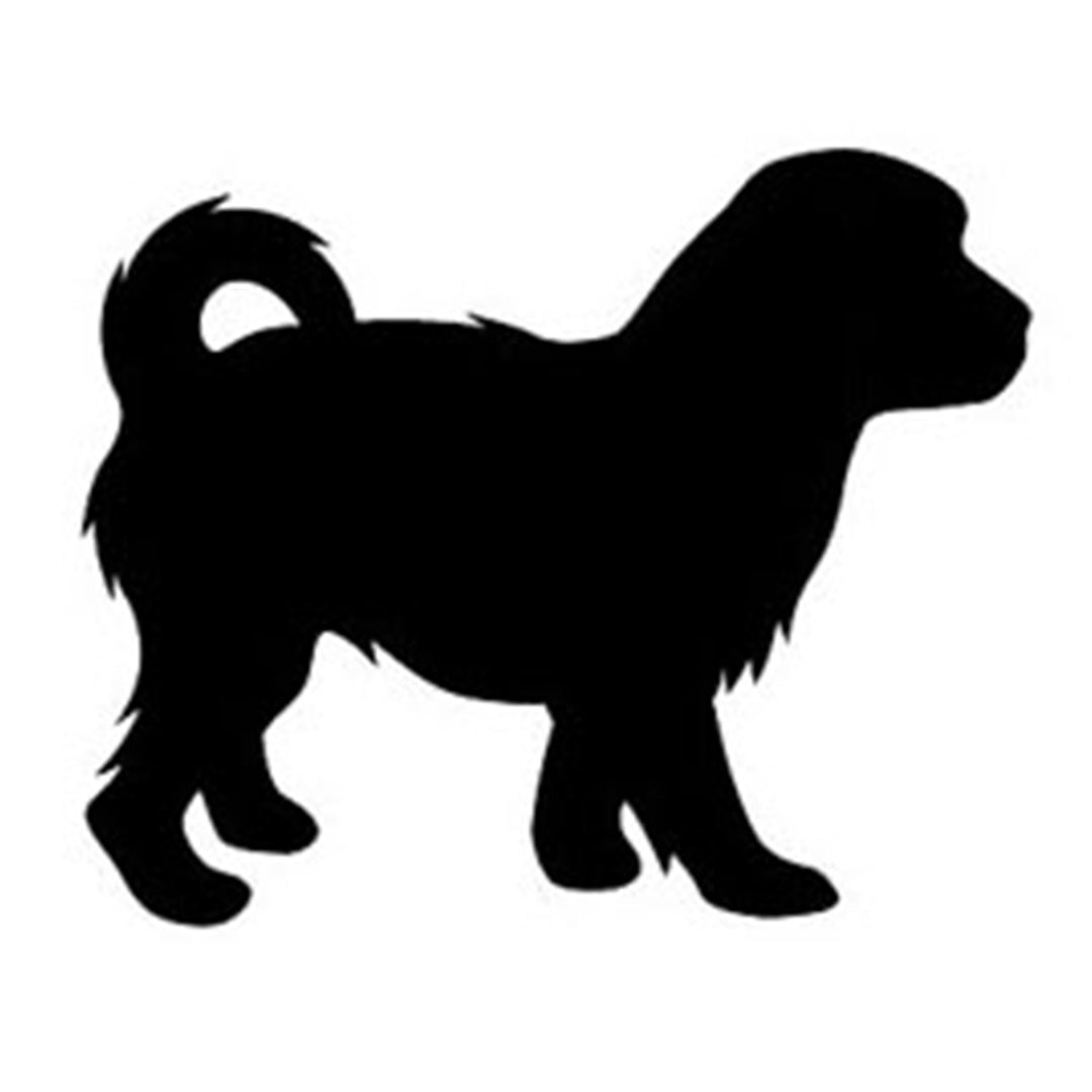 Cavachon Silhouette