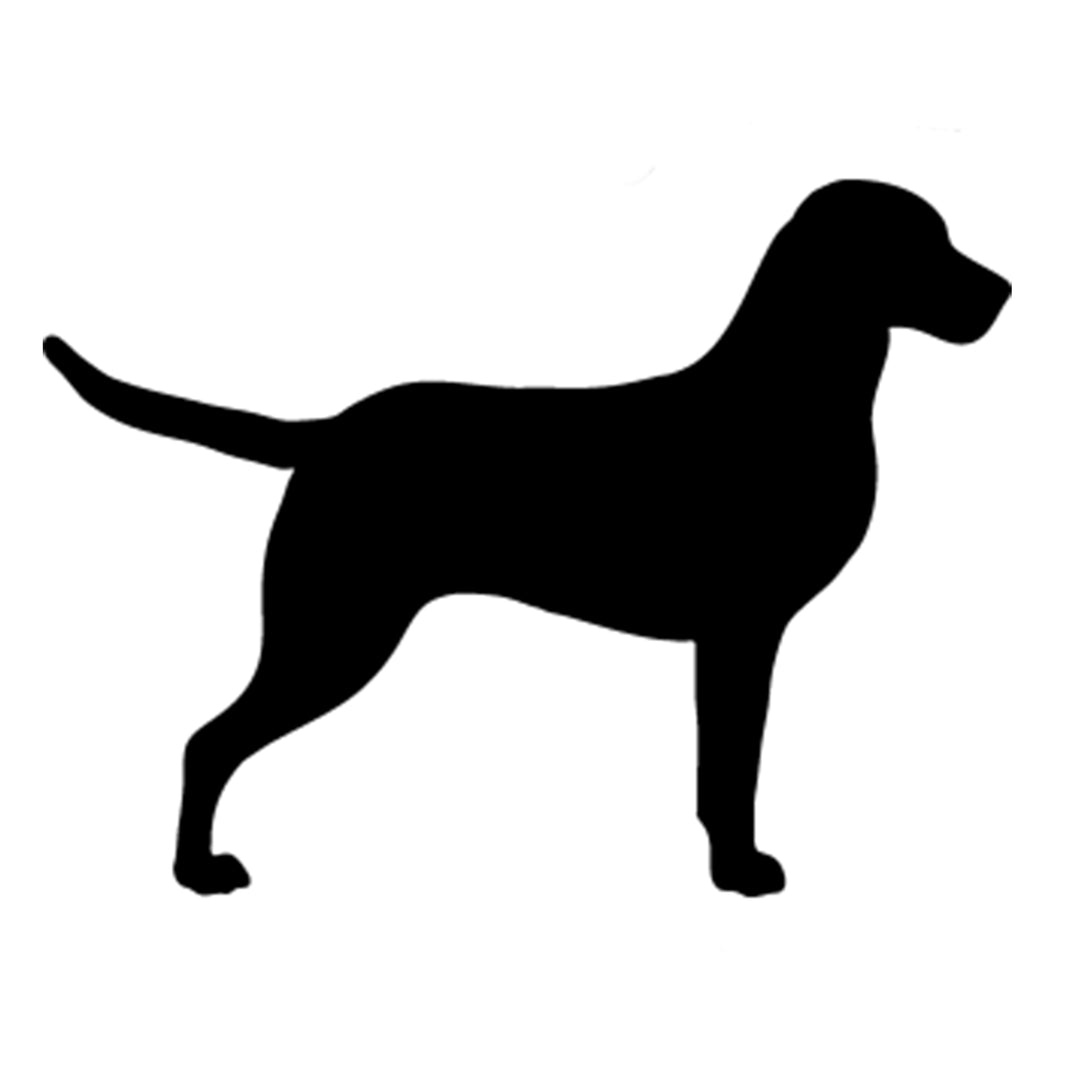 Chesapeake Bay Retriever Silhouette