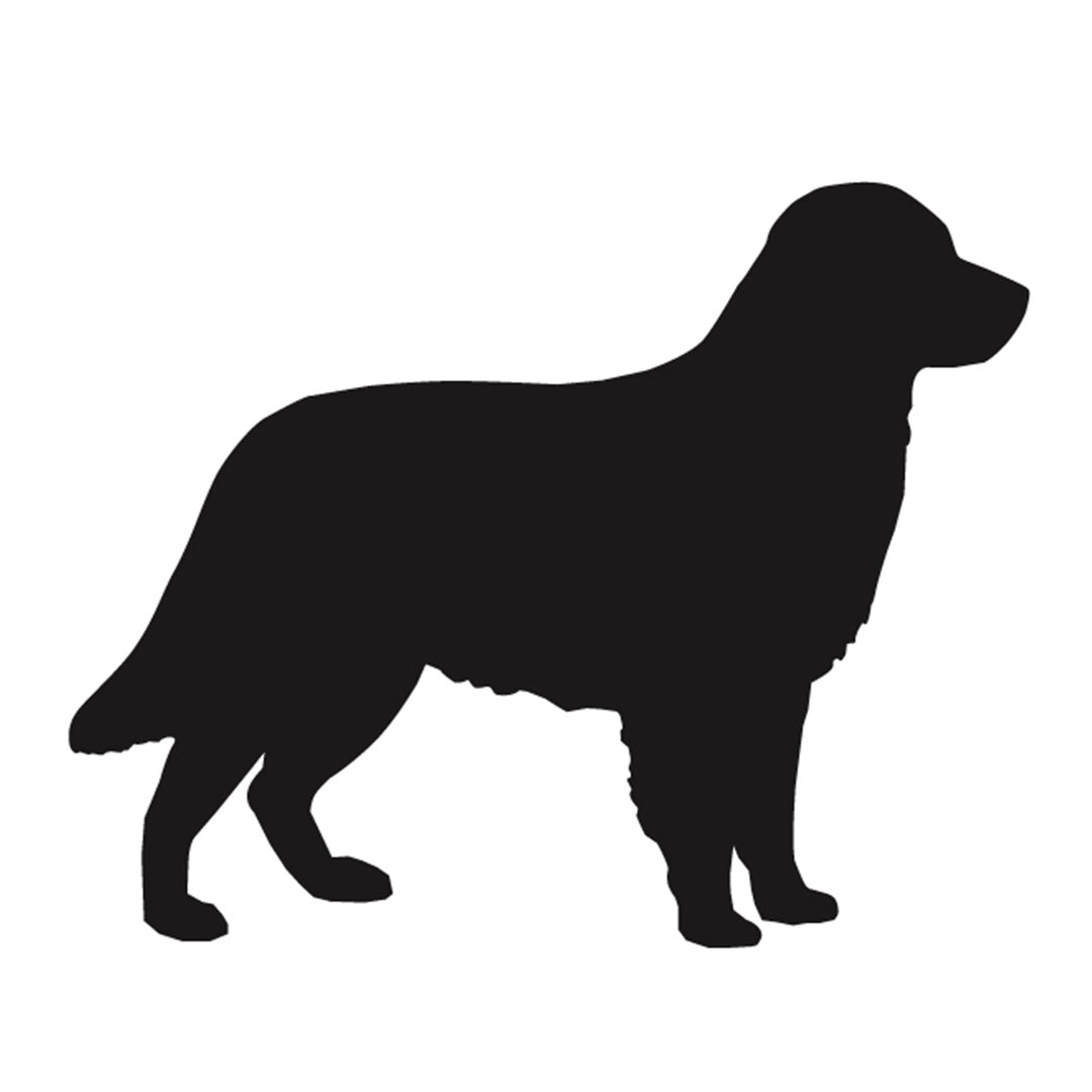 Flat-Coated Retriever Silhouette