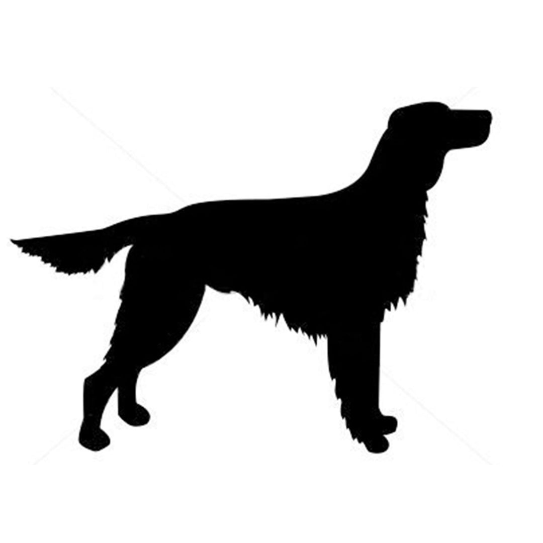 Irish Red and White Setter Silhouette