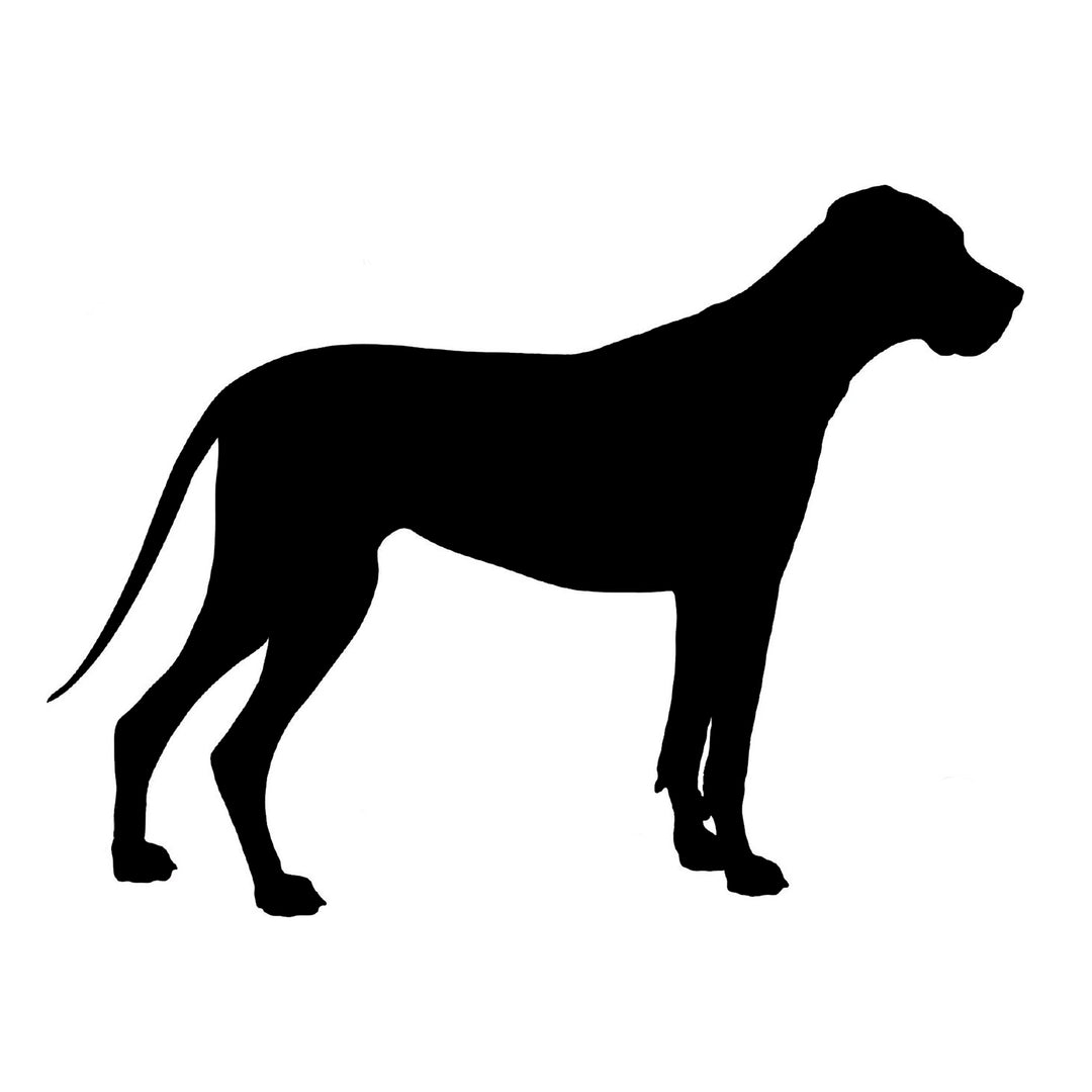 Labradane Silhouette