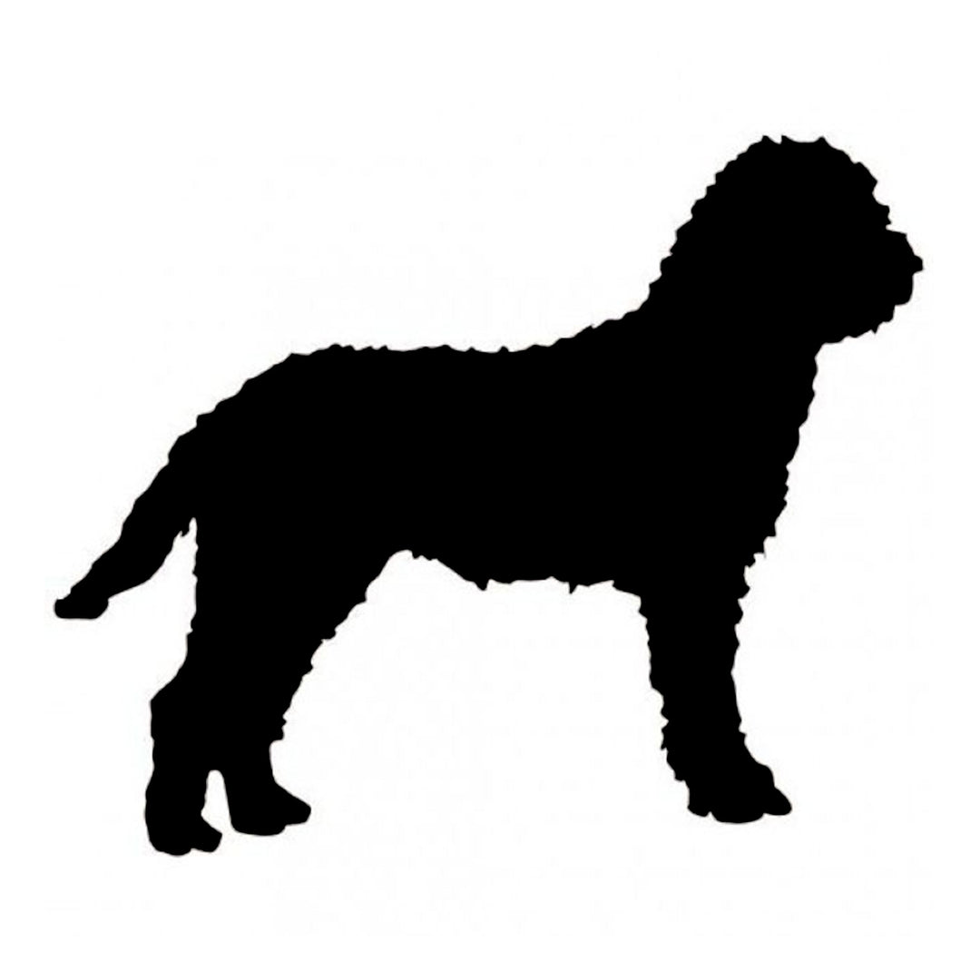 Lagotto Romagnolo Silhouette