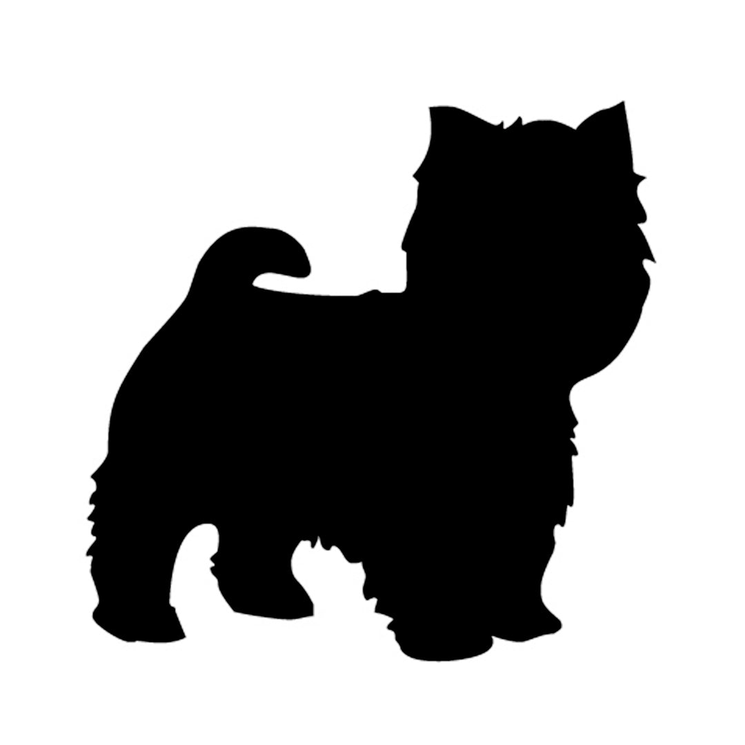 Yorkiepoo Silhouette