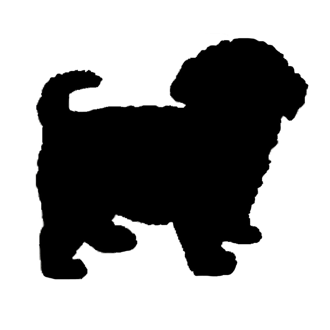 Maltipoo Silhouette