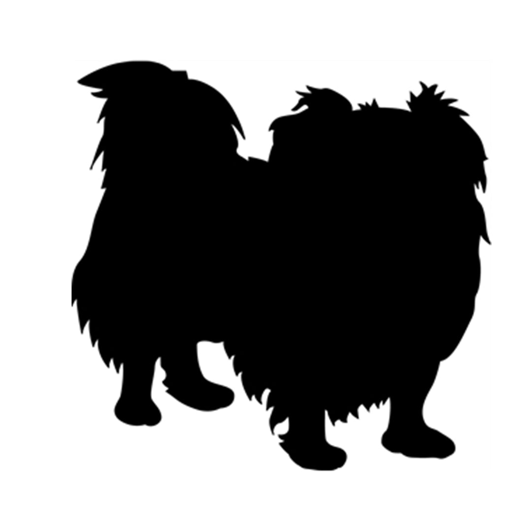 Pekingese (short haired)