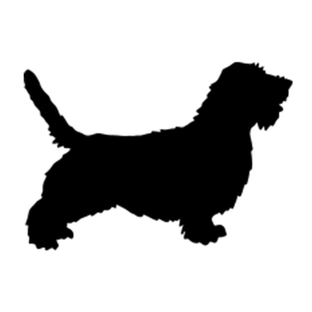 Petit Basset Griffon Vendeen Silhouette