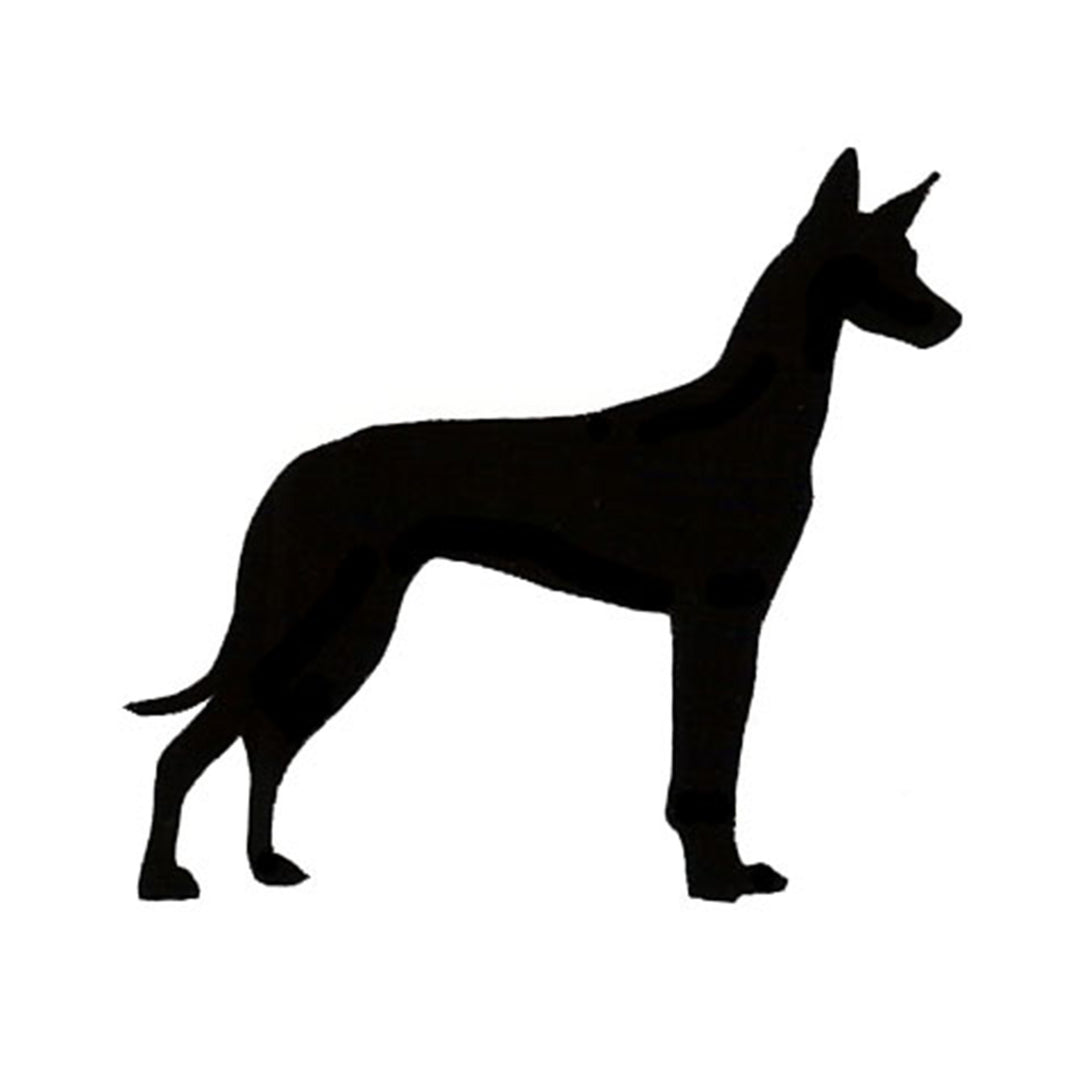 Pharaoh Hound Silhouette