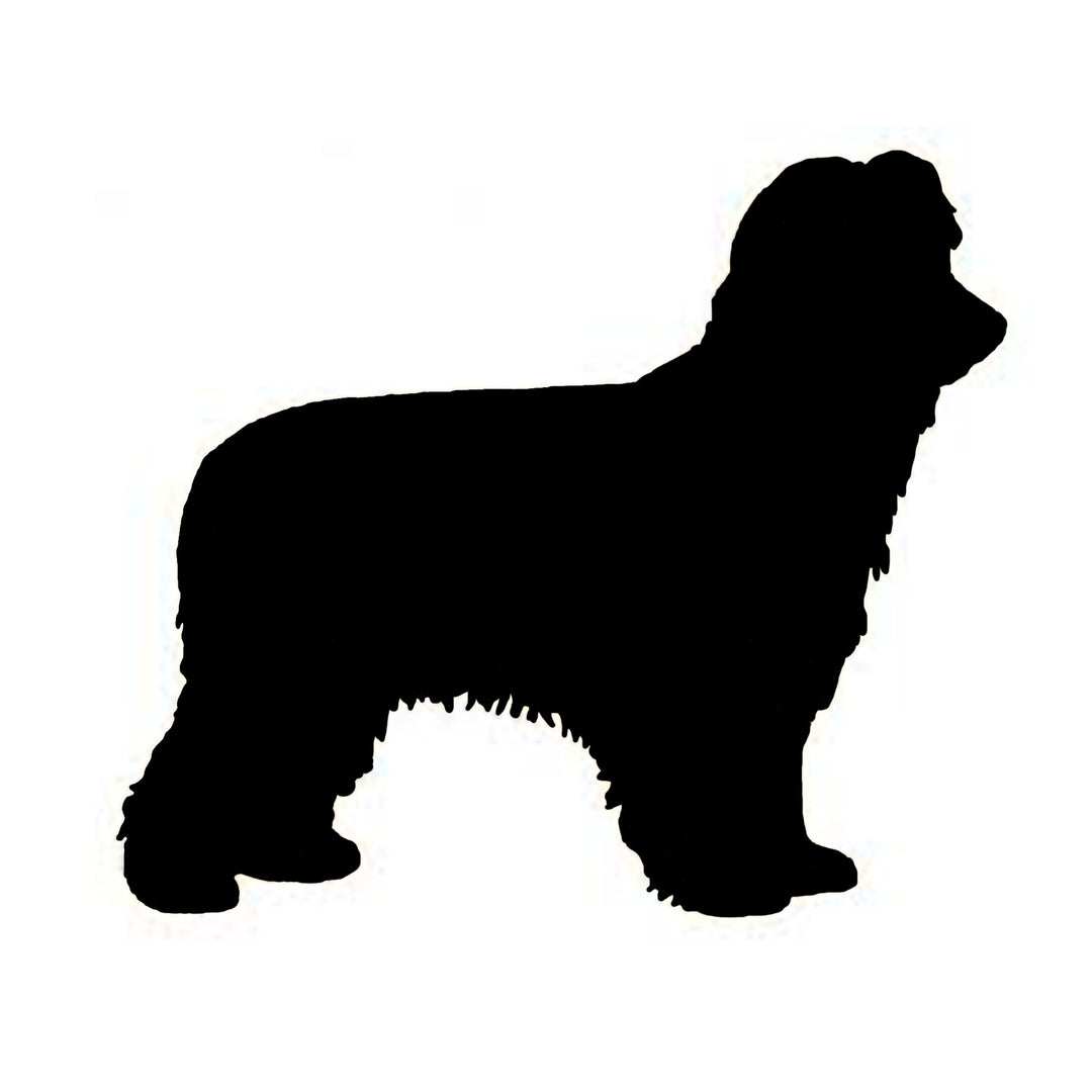 Rough Face Pyrenean Shepherd Silhouette