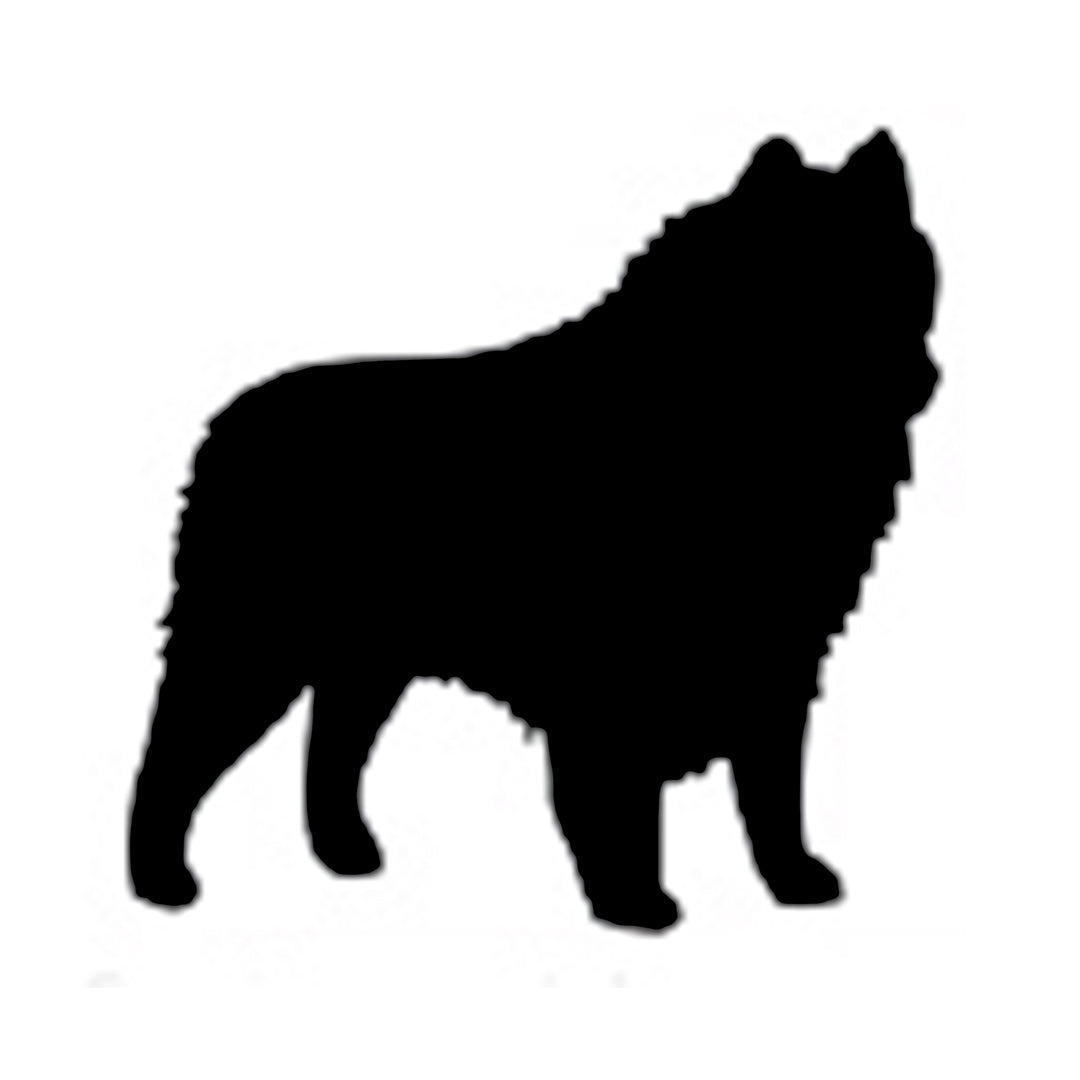 Schipperke Silhouette