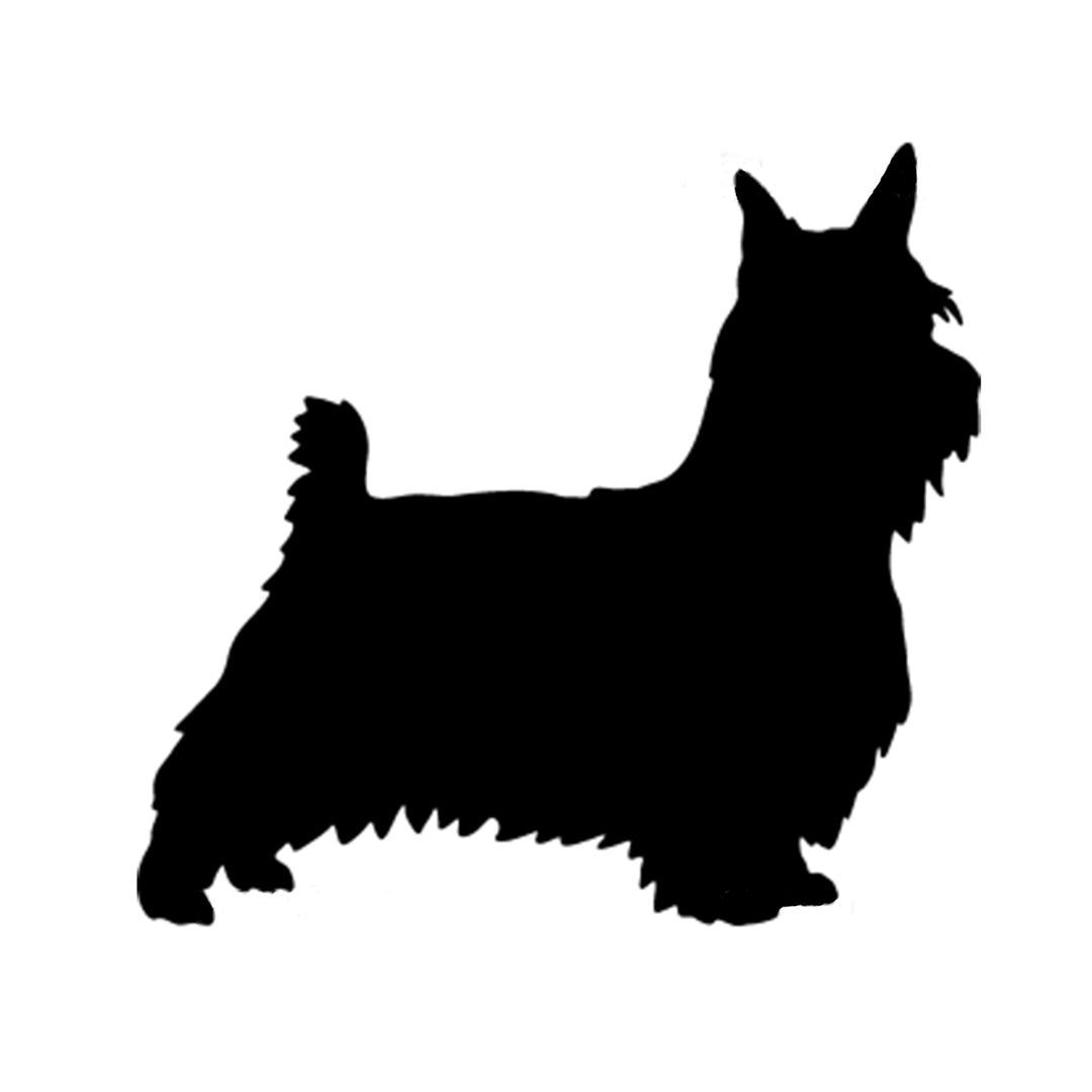 Silky Terrier Silhouette