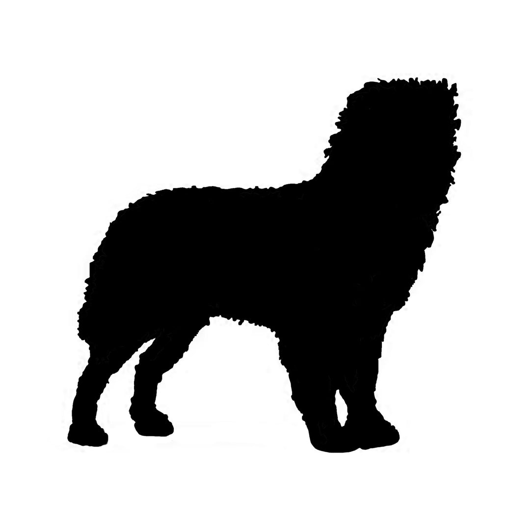 Smooth Face Pyrenean Shepherd Silhouette