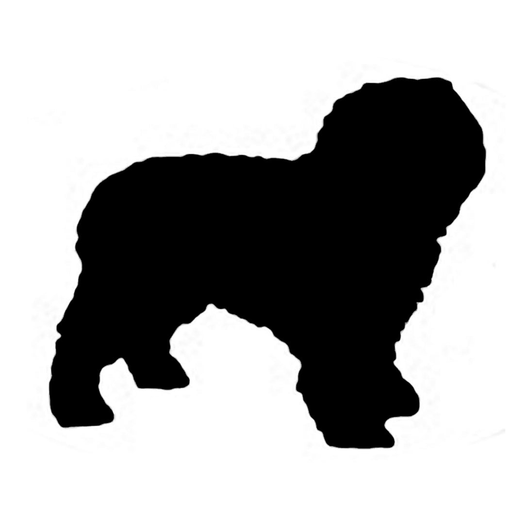 Spanish Water Dog Silhouette