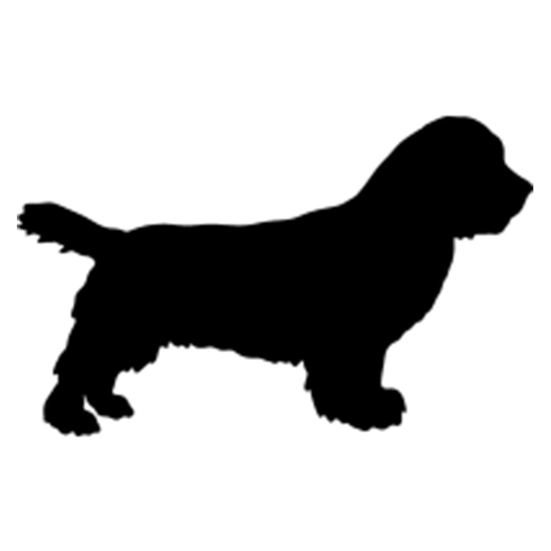 Sussex Spaniel Silhouette