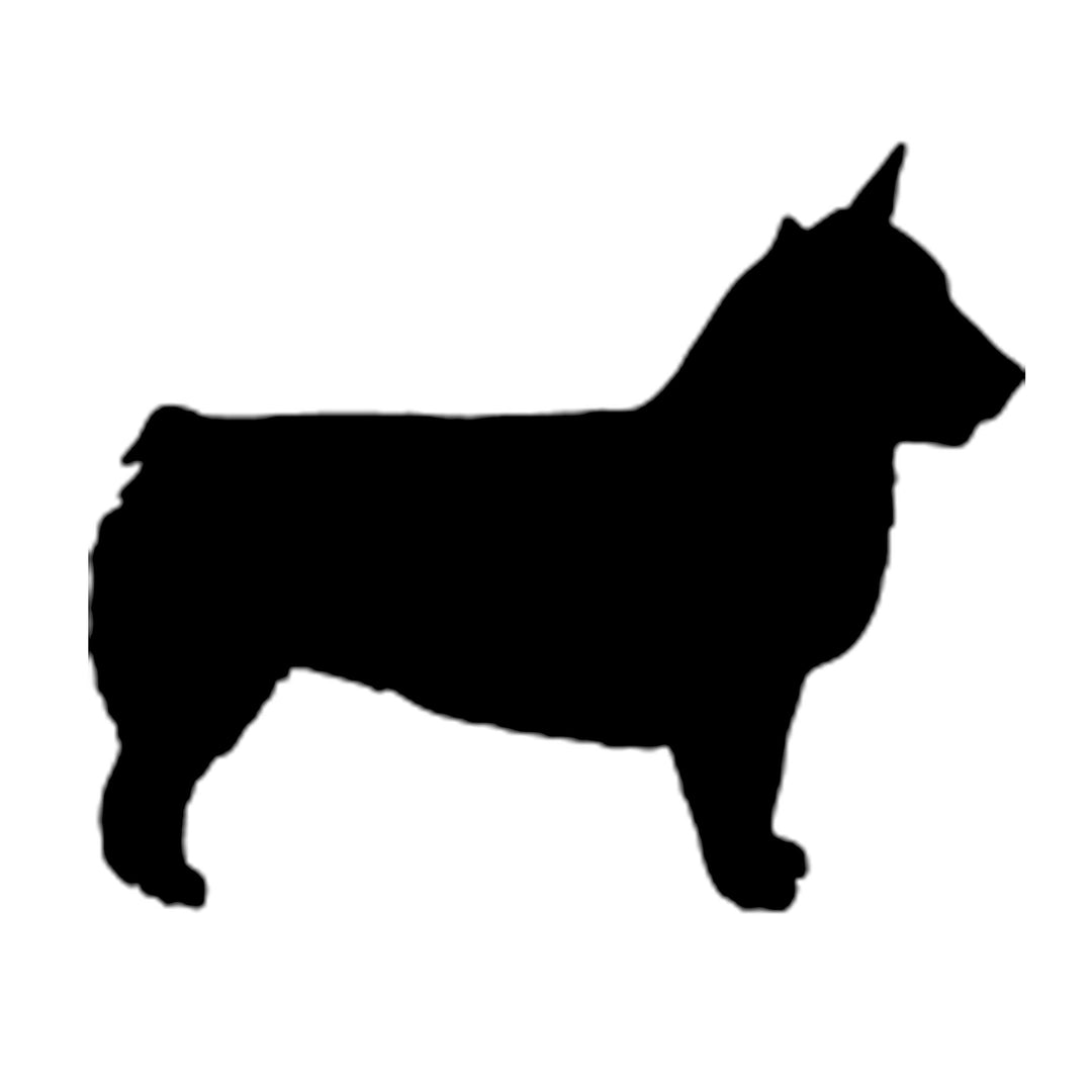 Swedish Vallhund Silhouette