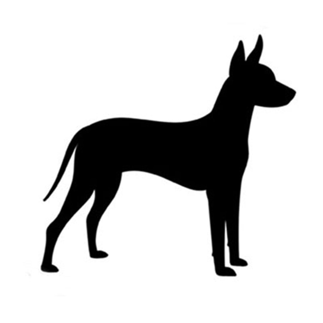 Xoloitzcuintli Silhouette