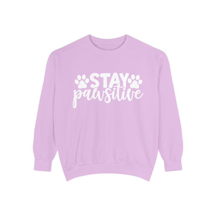 Stay Pawsitive - Comfort Colors Sweatshirt Sizes S-XL - relaxed fit Pet Lover clothing