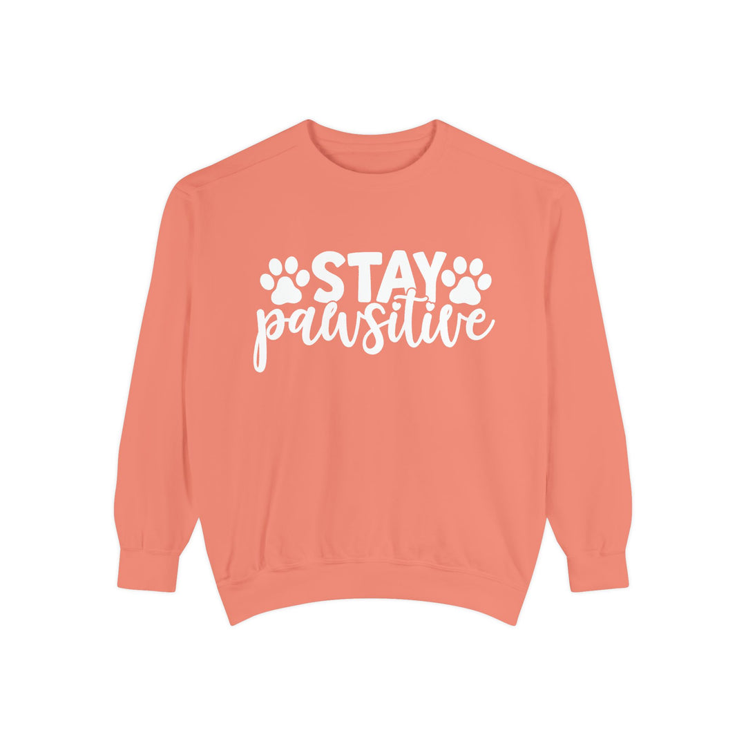 Stay Pawsitive - Comfort Colors Cozy Sweatshirt Sizes 2XL & 3XL Multiple Colors