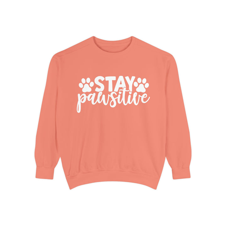 Stay Pawsitive - Comfort Colors Cozy Sweatshirt Sizes 2XL & 3XL Multiple Colors