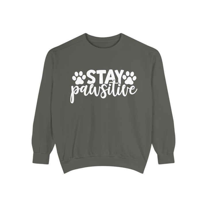 Stay Pawsitive - Comfort Colors Cozy Sweatshirt Sizes 2XL & 3XL Multiple Colors