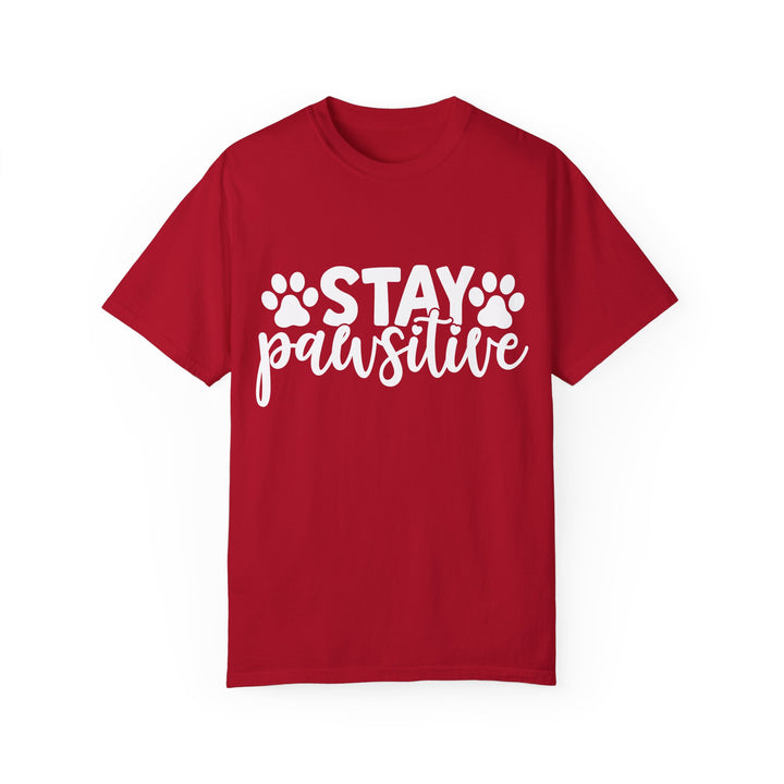 Stay Pawsitive Comfort Colors t-shirt Sizes 2XL-4XL Multiple Colors