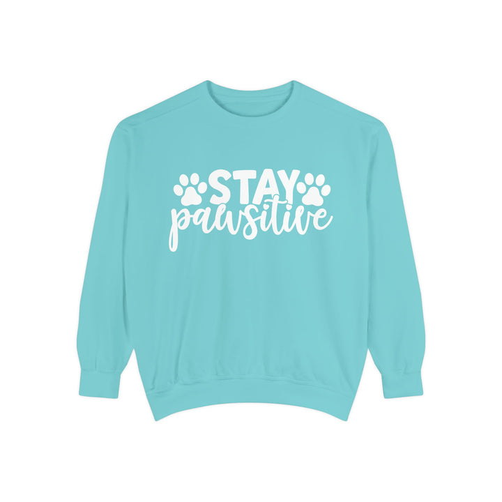 Stay Pawsitive - Comfort Colors Sweatshirt Sizes S-XL - relaxed fit Pet Lover clothing