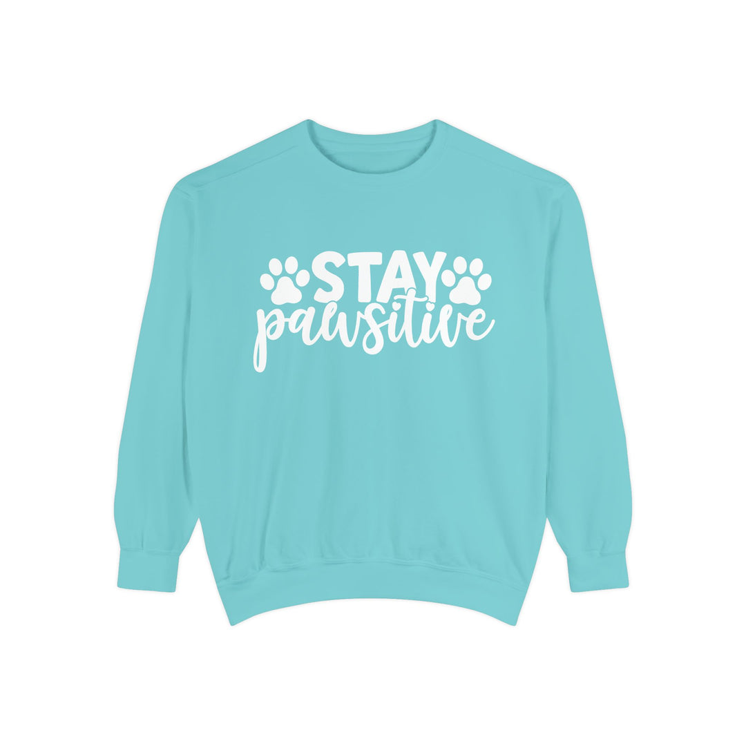 Stay Pawsitive - Comfort Colors Cozy Sweatshirt Sizes 2XL & 3XL Multiple Colors