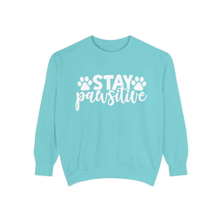 Stay Pawsitive - Comfort Colors Cozy Sweatshirt Sizes 2XL & 3XL Multiple Colors