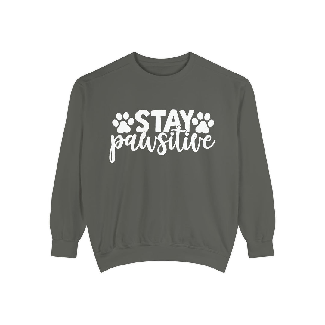 Stay Pawsitive - Comfort Colors Sweatshirt Sizes S-XL - relaxed fit Pet Lover clothing