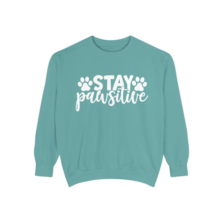 Stay Pawsitive - Comfort Colors Cozy Sweatshirt Sizes 2XL & 3XL Multiple Colors