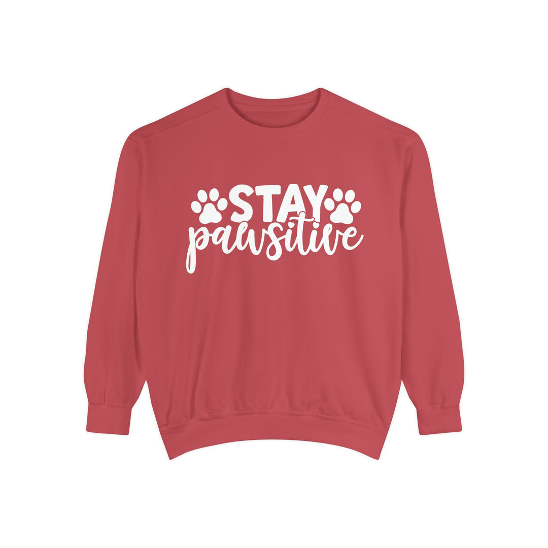 Stay Pawsitive - Comfort Colors Cozy Sweatshirt Sizes 2XL & 3XL Multiple Colors