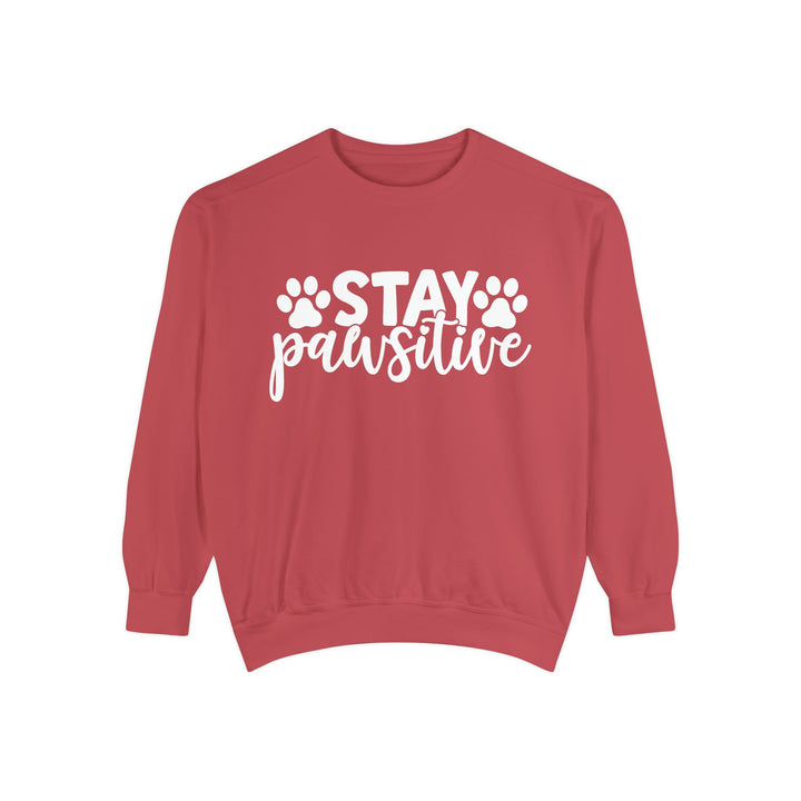 Stay Pawsitive - Comfort Colors Sweatshirt Sizes S-XL - relaxed fit Pet Lover clothing