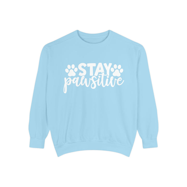 Stay Pawsitive - Comfort Colors Cozy Sweatshirt Sizes 2XL & 3XL Multiple Colors