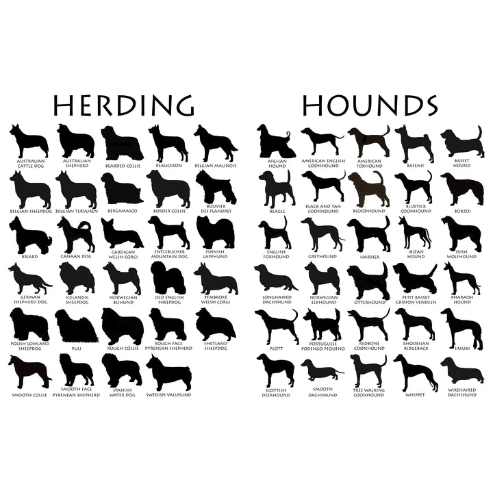 Dog Breeds